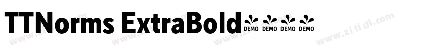 TTNorms ExtraBold字体转换